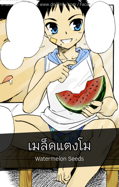 เมล็ดแตงโม [Tachibana Momoya] Watermelon Seeds